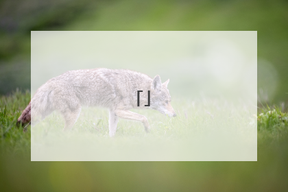 三观正人品好的超干净短句 (通用60句)